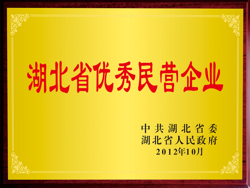 湖北省優(yōu)秀民營(yíng)企業(yè)